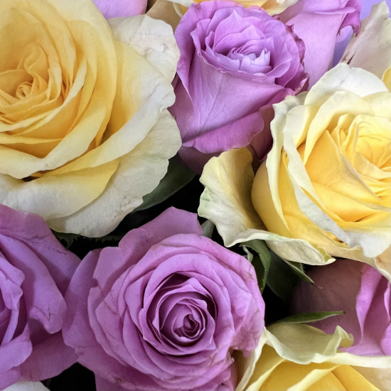 Букеты из роз Букет из 17 желтых и розовых роз